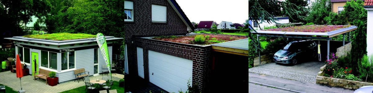 Dachy zielone - Zielony dach dla prywatnych inwestorów – instalacja krok po kroku