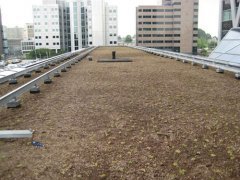  - Dachy zielone – ekologiczne i racjonalne gospodarowanie wodą opadową