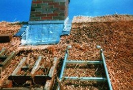 Pokrycia dachowe / Inne - Strzecha z trzciny