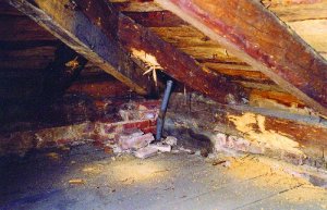 Konstrukcje - Uszkodzenia drewnianych więźb dachowych przez owady
