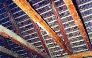  - Uszkodzenia drewnianych więźb dachowych przez owady