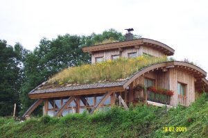  - Podstawy planowania dachu zielonego