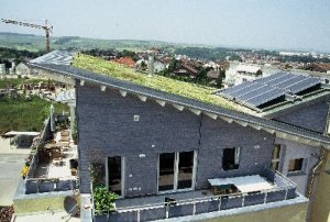 Dachy zielone - Podstawy planowania dachu zielonego
