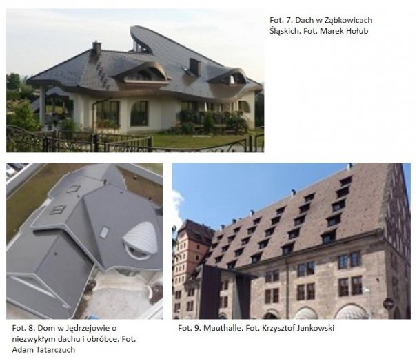 Pokrycia dachowe / Inne - Dachy – gwiazdy obiektywu