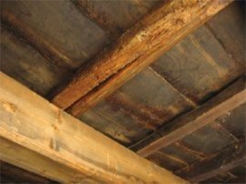 Dachy płaskie - Stropodachy o konstrukcjach drewnianych