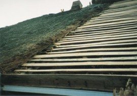 Pokrycia dachowe / Inne - Strzecha. Układanie trzciny na dachu