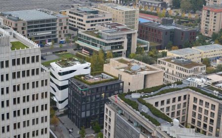 Dachy zielone - Walory ekologiczne dachów zielonych i ich wpływ na klimat miasta 