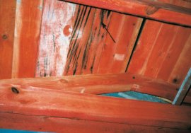 Konstrukcje - Impregnacja drewna  więźby dachowej budynku
