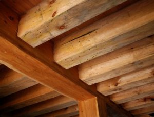 Renowacja - Jak  skutecznie zwalczyć szkodniki w starym drewnianym domu?