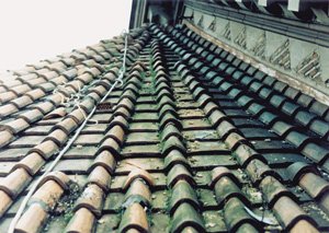 Pokrycia dachowe / Ceramiczne - Historyczne modele dachówek w renowacji dachów