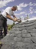 Dachy sko��ne - Dzikie krycie dla dachów wyjątkowych